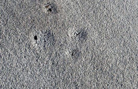 Granular surface damage and punctures indicating wear and potential leak points