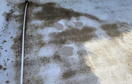 Commercial flat roof with debris buildup and drainage issues near parapet wall