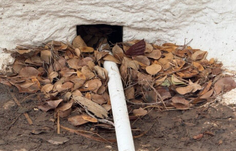 Clogged commercial roof drain with organic debris restricting proper water flow